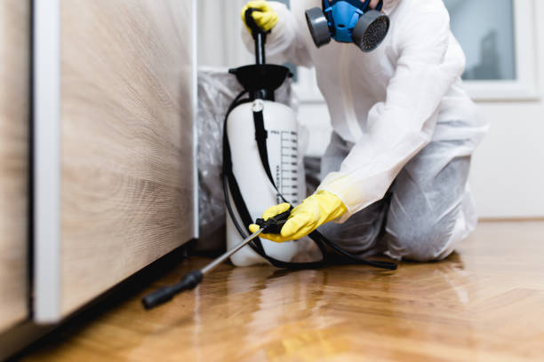 Best Flea Control Services  in Canton Valley, CT