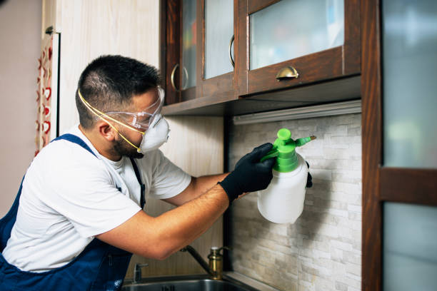 Pest Prevention Services in Canton Valley, CT