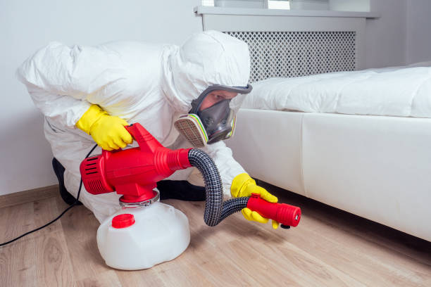 Best Termite Control Services  in Canton Valley, CT