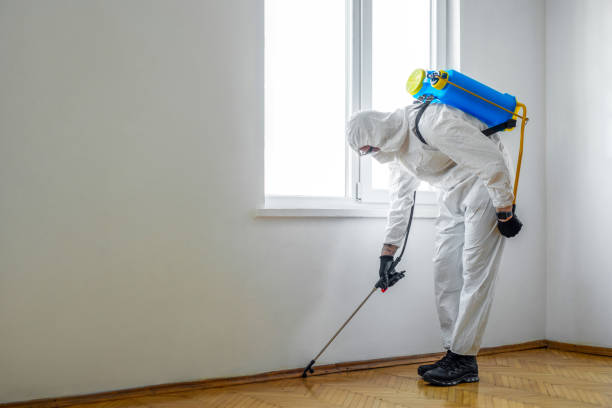 Flea Control Services in Canton Valley, CT