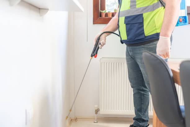 Best Wasp Removal Services  in Canton Valley, CT
