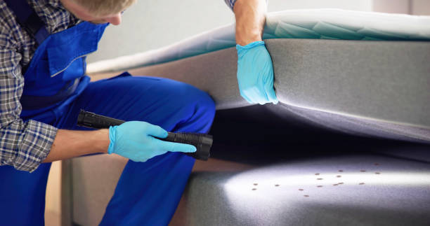 Best Mosquito Control Services  in Canton Valley, CT