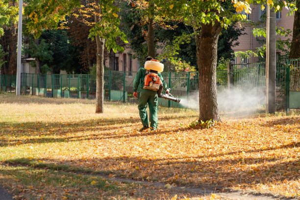 Best Local Pest Control Services  in Canton Valley, CT